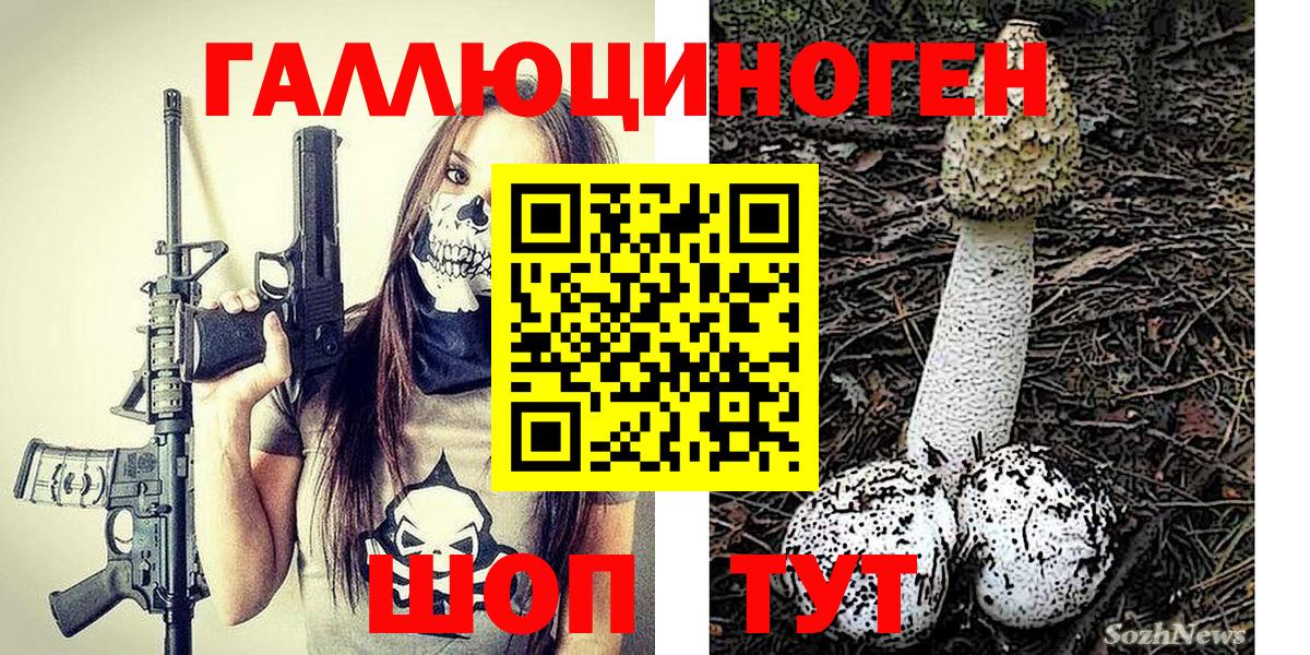 Саяногорск  Псилоцибиновые грибы Psilocybe  где найти   Вход с VPN 