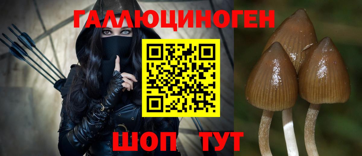 Галлюциногенные грибы мухоморы Саяногорск
